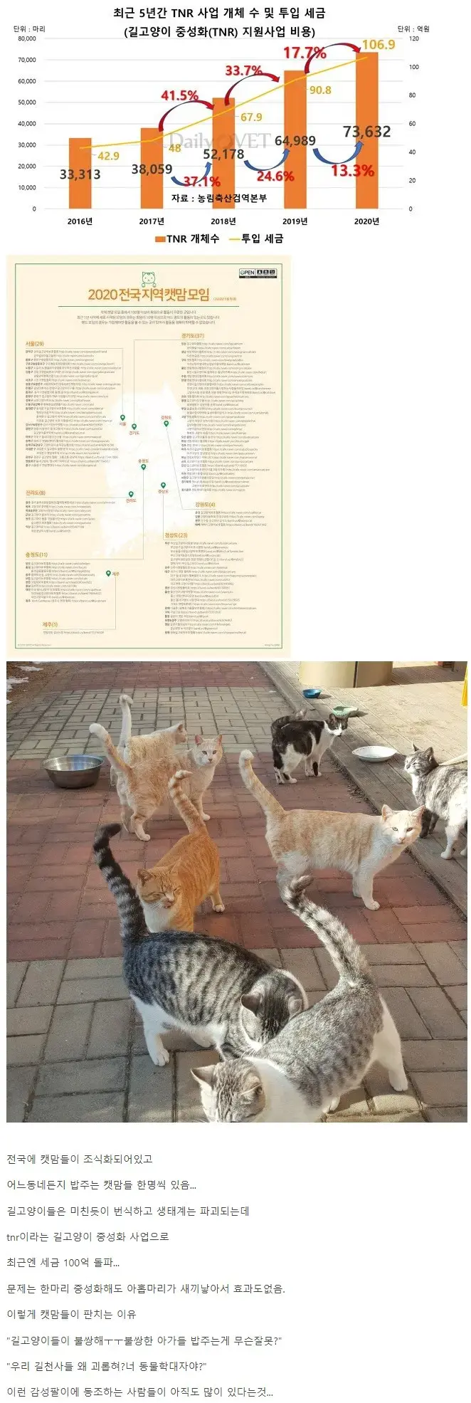 이제는 공론화가 필요한 캣맘 문제..jpg : 엽기자랑 - 와이고수